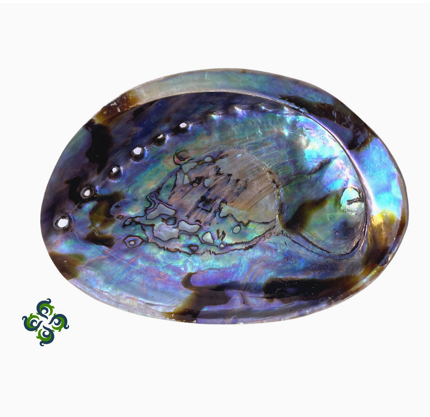 Abalone Shell Incense Burner