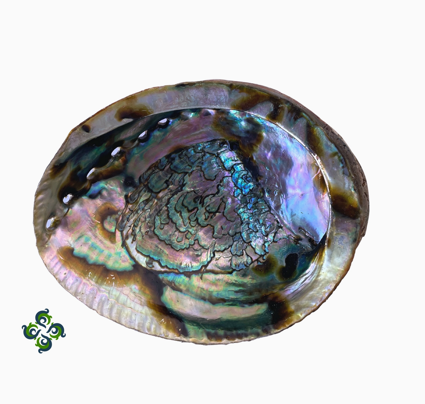 Abalone Shell Incense Burner